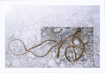 14 Signature câblée Acrylique sur papier 1991  100x70cm